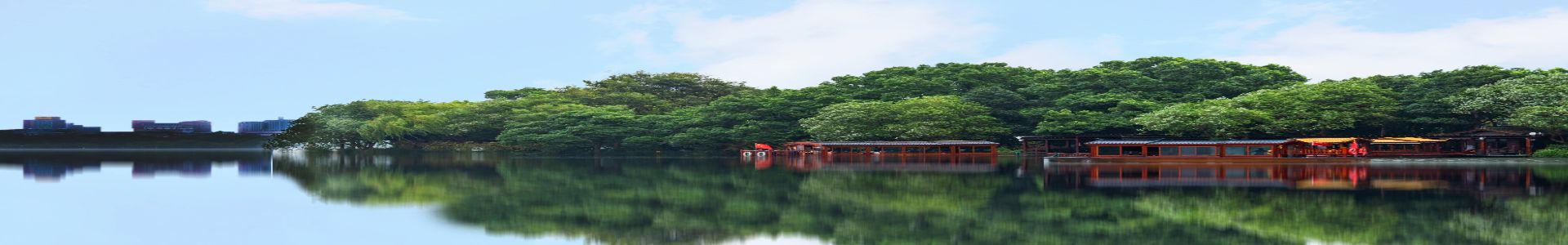 知识产权辅导服务